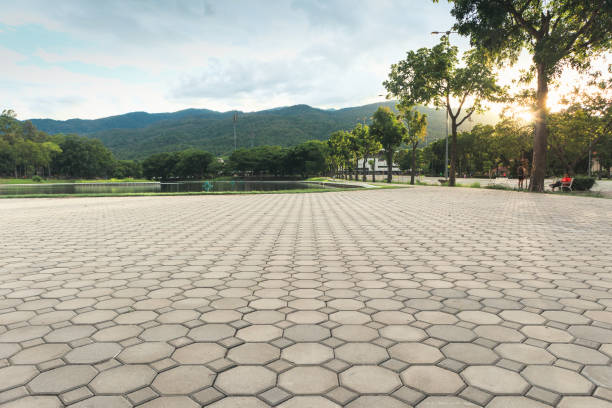 Paver Driveway Replacement in Ferndale, WA